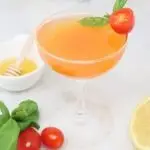 Nankai Shochu Tomato Basil Cocktail