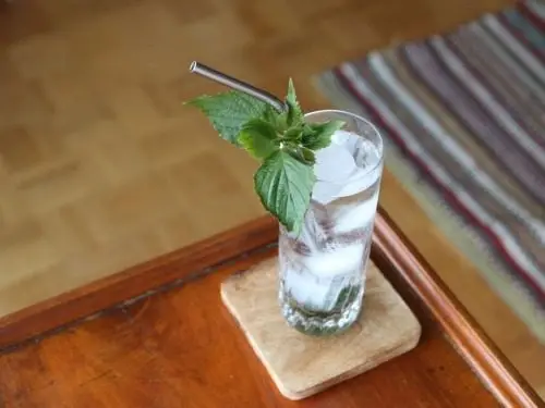 Read more about the article Shochu Cocktail Recipe: Shiso Highball